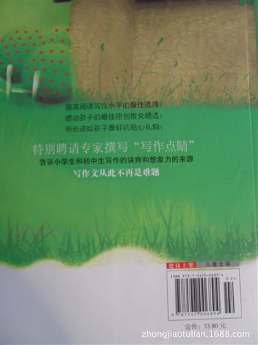 名家繪本類 《半瓶陽(yáng)光》圖書 z