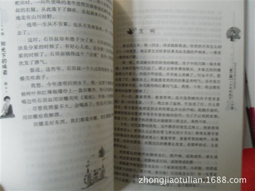 經(jīng)典書籍 《陽(yáng)光下的味道》圖書 z