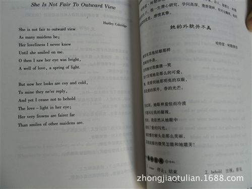 英漢對照快樂英語 《快樂英語-影響幾代人的成長法則》正版英漢對照青少年圖書書籍