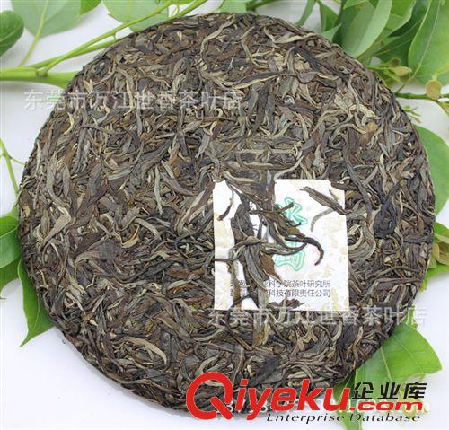 云南普洱茶 云南普洱茶 幽香冰島純料大樹(shù)茶 云茶科技有限公司茶葉研究院出品原始圖片2