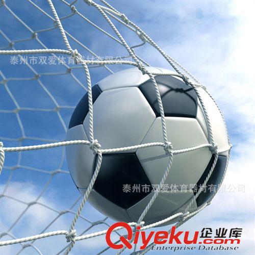 足球器材 gd聚乙烯足球網　標準11人制及七人制　五人制