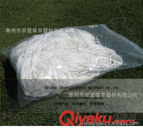 体育绳网 40尺15cm标准型集装箱（高柜）尾部防护网 货柜网集装箱尾网