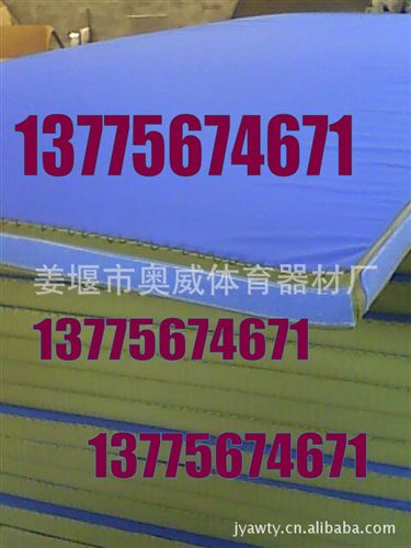 體操用品 防滑海綿墊 斜紋皮革墊 eva海綿 摔跤體操 牛津布+斜紋革布套原始圖片3