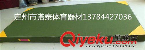 武術散打及護具 廠家直銷 出口品質 體操墊 摔跤墊 瑜伽墊 防滑皮革彩色墊