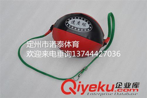武術(shù)散打及護(hù)具 廠家直銷 出口品質(zhì) 拳擊散打 訓(xùn)練 實(shí)心速度球