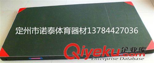 海綿墊系列 廠家直銷 出口品質(zhì) 體操墊 摔跤墊 瑜伽墊 防滑皮革彩色墊原始圖片3