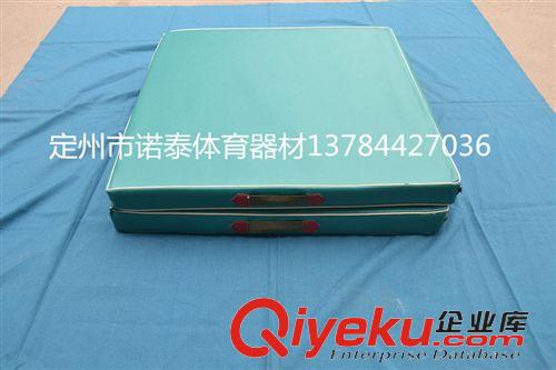 海綿墊系列 廠家直銷 出口品質 體操墊 摔跤墊 瑜伽墊 防滑皮革彩色墊