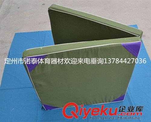 海綿墊系列 廠家直銷 出口品質 體操墊 摔跤墊 瑜伽墊 防滑皮革彩色墊