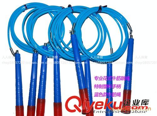 小型健身運(yùn)動(dòng)用品 沈陽(yáng)花式跳繩,jm牌專(zhuān)業(yè)花式牛筋跳繩,塑柄,高級(jí)軸承,TPU牛筋繩原始圖片3