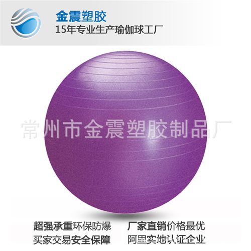 健身球 廠家直供PVC拉力繩球，15年專業(yè)制造生產(chǎn)廠家(圖)