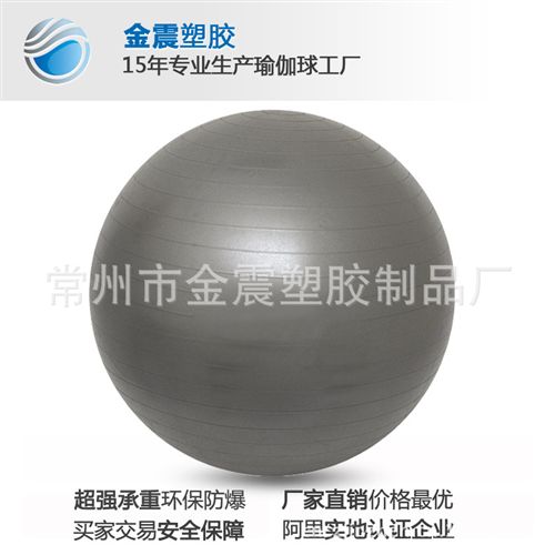健身球 江蘇常州廠家供應2014年爆款出口德國健身球、PVC瑜珈球原始圖片3
