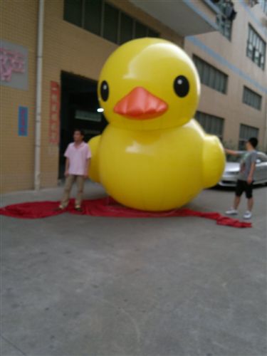 大黃鴨 銷售9筆東莞市格薩充氣產(chǎn)品PVC充氣大黃鴨 大黃鴨模型 可訂制大小原始圖片3