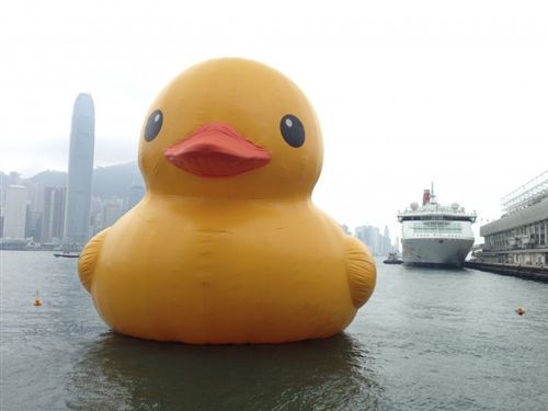 大黃鴨 銷售9筆廣東地區(qū)廠家生產(chǎn)PVC充氣動(dòng)物 充氣大黃鴨 可訂做大小