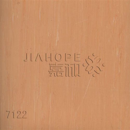 嘉和同質(zhì)透心系列 嘉和卷材塑膠地板2.0mm 同質(zhì)透心 有方向 PVC地板 辦公系統(tǒng) 醫(yī)療