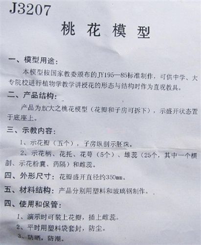 幼兒科學(xué)實驗 實驗用品 器材學(xué)具教學(xué)儀器大全 桃花模型兒童科學(xué)實驗室儀器設(shè)備原始圖片3