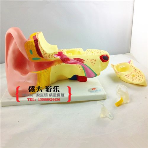 幼兒科學(xué)實(shí)驗(yàn) 感覺統(tǒng)合鍛煉器材教具*健身球*觸覺球*am球地球儀球*平衡大龍