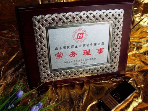 木質獎牌系列 木質雕刻獎牌定制證書定做牌加盟牌DIY訂制LOGO先進單位榮譽木制原始圖片2