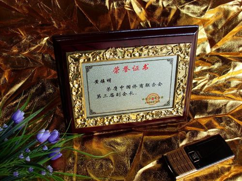 木質獎牌系列 爆款tj 木質獎牌 方形鑲嵌花框金銀拉絲授權牌聘書 木質擺件