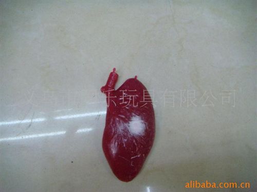 節(jié)日產(chǎn)品 供應(yīng)恐怖器官發(fā)泄球 整人實(shí)心大腦 TPR玩具 鬼節(jié)萬圣節(jié)玩具原始圖片2
