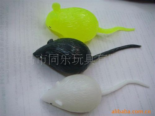 節(jié)日產(chǎn)品 供應(yīng)恐怖器官發(fā)泄球 整人實(shí)心大腦 TPR玩具 鬼節(jié)萬圣節(jié)玩具原始圖片3