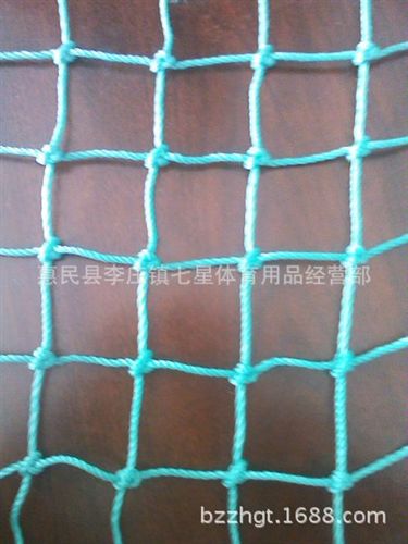 球網(wǎng) 廠家批發(fā)訂做室內(nèi)外不同顏色規(guī)格尼龍PE場(chǎng)地器材圍網(wǎng)擋網(wǎng)護(hù)網(wǎng)原始圖片3