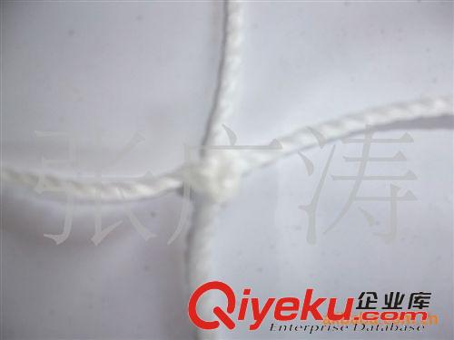 球網(wǎng) 機織定型室內(nèi)外用高檔標準手球網(wǎng)（3x2米）原始圖片2