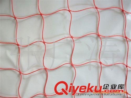 球網(wǎng) 機織定型室內(nèi)外用高檔標準手球網(wǎng)（3x2米）原始圖片3