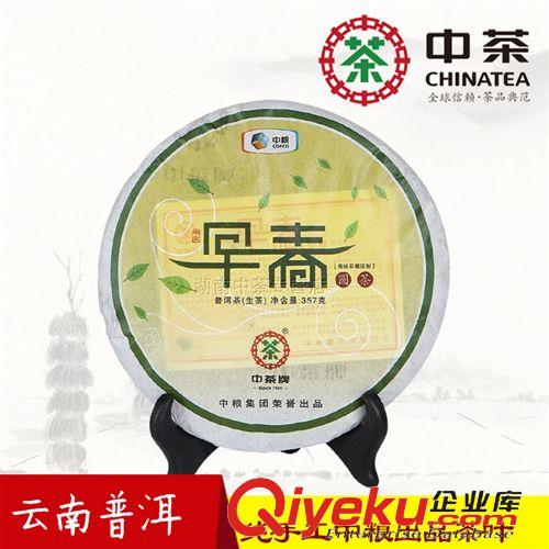 云南普洱 中茶云南普洱茶生茶 早春圓茶357g手工茶葉YTP01005廠家批發直銷