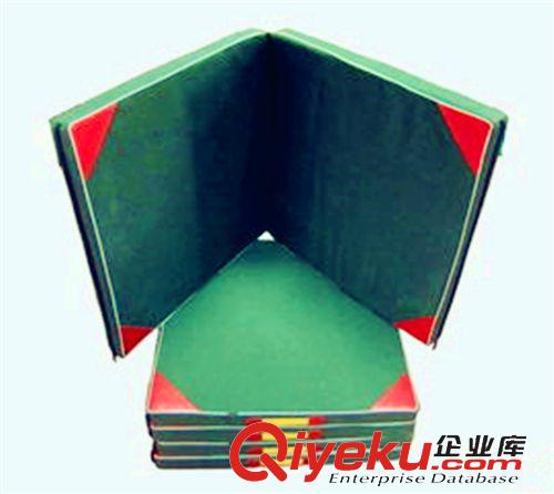 兒童樂園器材 舞蹈 訓練 武術 學校 體操系列海綿墊 體育用品生產廠家 直銷原始圖片3