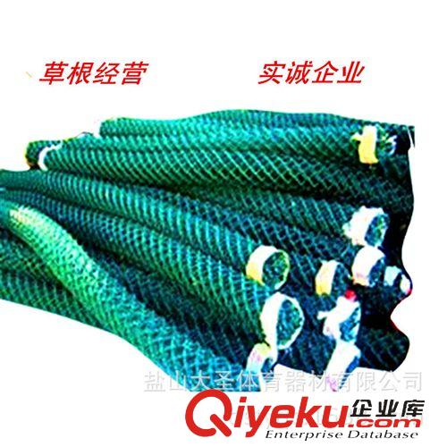 足 排 羽 網 乒乓球系列 操場 體育場地圍網 籃球場 護網 場地防護網 護欄網 體育器材直銷