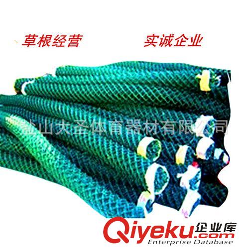 看臺 場地圍網 護網 防護網 學校 浸塑圍網 籃球場防護網 場地圍網 場地 隔離網體育器材直銷