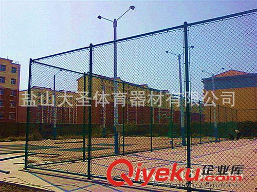 看臺 場地圍網 護網 防護網 學校 浸塑圍網 籃球場防護網 場地圍網 場地 隔離網體育器材直銷
