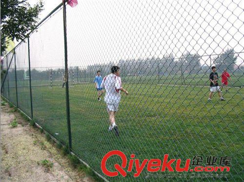 護網系列 供應場地包塑護網丶供應籃球架、排、羽、網場地圍網