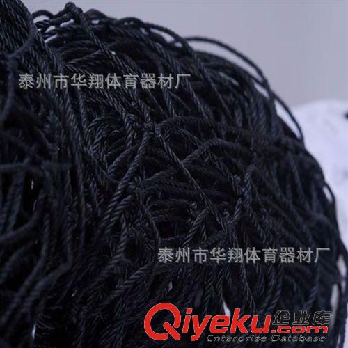 排球用品系列 供應(yīng) gd尼龍標(biāo)準(zhǔn)排球網(wǎng) 進(jìn)口尼龍排球網(wǎng) 沙灘排球網(wǎng) 廠家 直銷原始圖片3