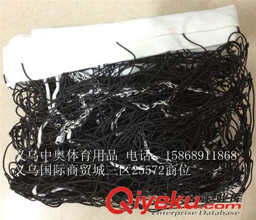 球柱、球架 求磊體育實(shí)體店 鼎力排球網(wǎng)/排球網(wǎng)柱網(wǎng)/尼龍線(xiàn)帶拉繩/結(jié)實(shí)耐用原始圖片2