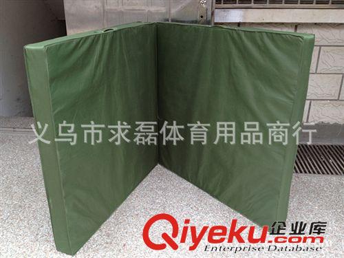 體操墊、運動墊子 體操墊/海綿墊100*50*5CM小體操墊/抑臥起坐墊子/訓練墊/牛筋布