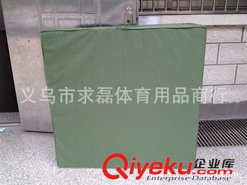 體操墊、運動墊子 防水布體操墊/200×100×10CM跳高墊空翻墊/舞蹈墊海綿