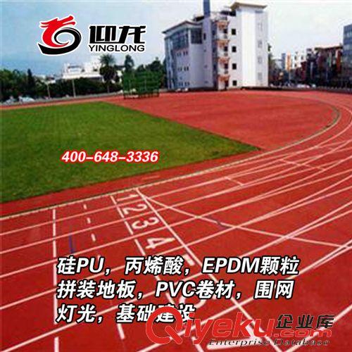 各種場(chǎng)地工程地膠（地板）系列 承接EPDM顆粒游樂(lè)場(chǎng)道路鋪面/體育運(yùn)動(dòng)操場(chǎng)/EPDM顆粒操場(chǎng)/操場(chǎng)