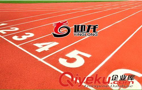 各種場地工程地膠（地板）系列 承接EPDM顆粒運動球場/體育運動操場/EPDM顆粒操場/學(xué)校操場/原始圖片2