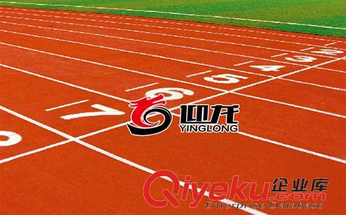 各種場地工程地膠（地板）系列 承接EPDM顆粒運動球場/體育運動操場/EPDM顆粒操場/學(xué)校操場/原始圖片3