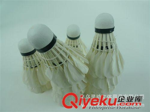 羽毛球系列 訓練用羽毛球 水鴨毛 泡沫球頭  自產自銷羽毛球 廠家直銷原始圖片2
