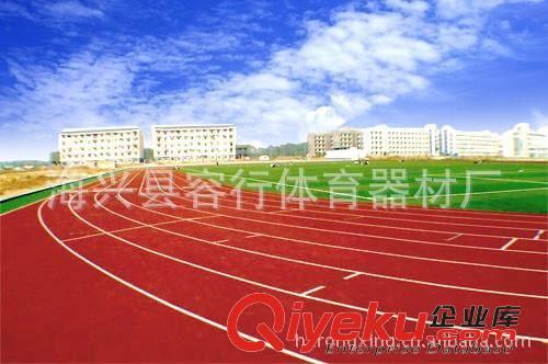 運動跑道、人造草坪 海興縣容行體育專業(yè)鋪設(shè)【塑膠場地、人工草坪】