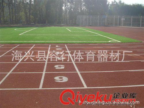 運動跑道、人造草坪 海興縣容行體育專業(yè)鋪設(shè)【塑膠場地、人工草坪】