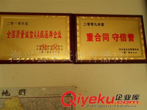 熱銷產(chǎn)品 生產(chǎn)供應(yīng) 透明籃球板 室內(nèi)迷你籃球板 玻璃鋼籃球板原始圖片3