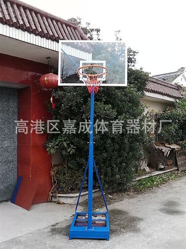 籃球器材 i供應【廠家直銷】 中小學生籃球架 標準高度可升降移動籃球架