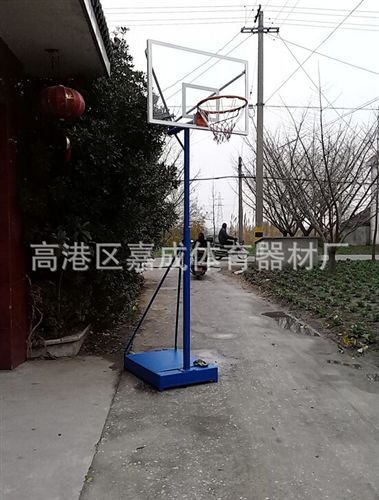 籃球器材 i供應【廠家直銷】 中小學生籃球架 標準高度可升降移動籃球架