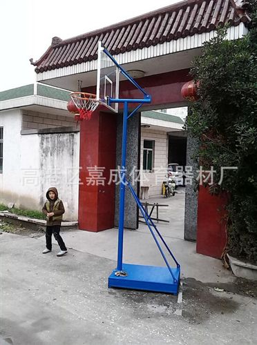 籃球器材 i供應【廠家直銷】 中小學生籃球架 標準高度可升降移動籃球架