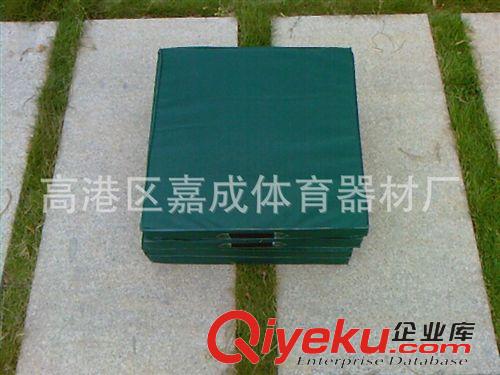 體操器材 廠家批發學生用藝術體操墊 仰臥起坐墊 小海綿墊