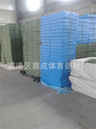 體操器材 廠家批發學生用藝術體操墊 仰臥起坐墊 小海綿墊
