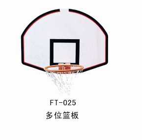 籃球系列 FT--017--墻面電動翻轉籃球架